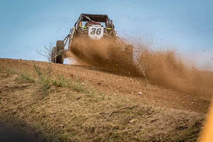 Daely Pentico Racing Buggy